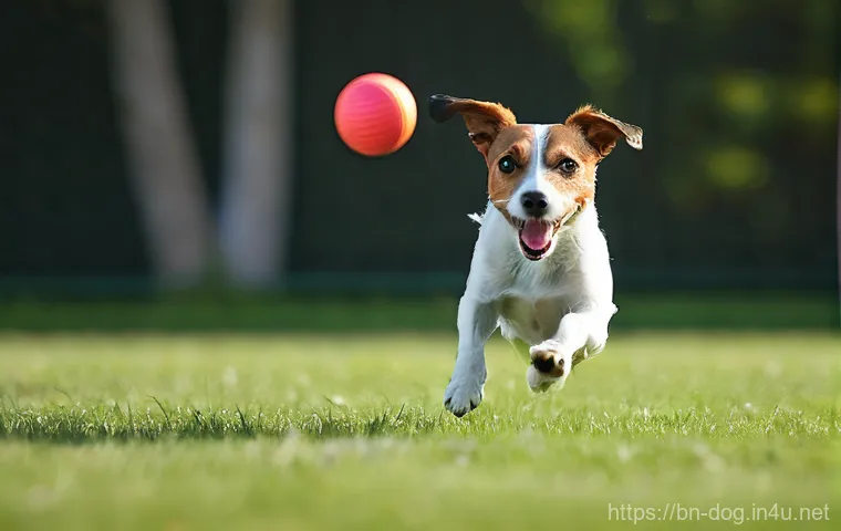 잭 러셀 훈련법 - **Prompt 1: Playful Puppy Socialization in a Park**
    "A vibrant, high-definition image of a two-m...