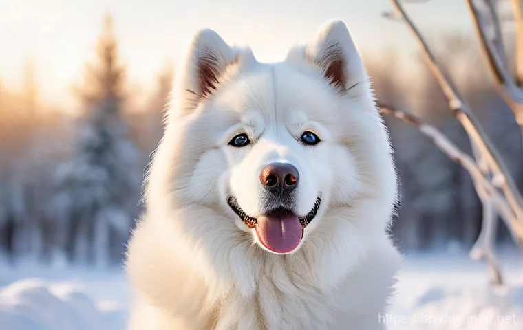 사모예드와 시베리안 허스키 차이 - **Prompt 1: The Samoyed's Joyful Fluff**
"A photorealistic, highly detailed image of a magnifice...