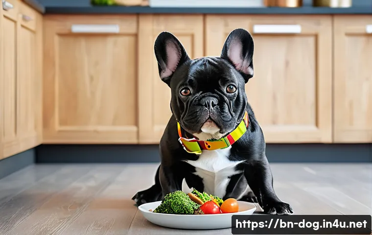 프렌치 불독 다이어트 - A lively French Bulldog eating a nutritious meal composed of fresh natural meats and vegetables on a...